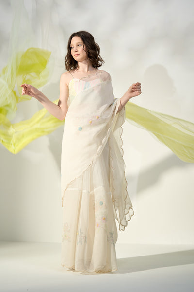 Anise Sari