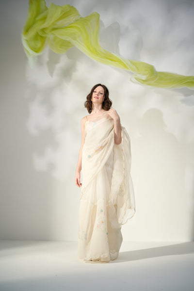 Anise Sari