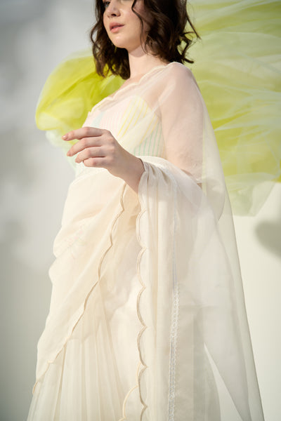 Anise Sari