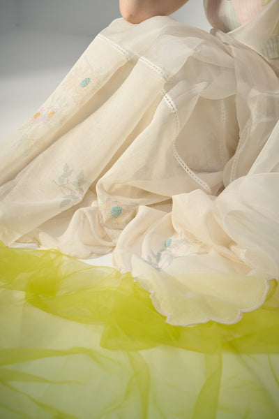 Anise Sari
