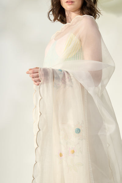 Anise Sari