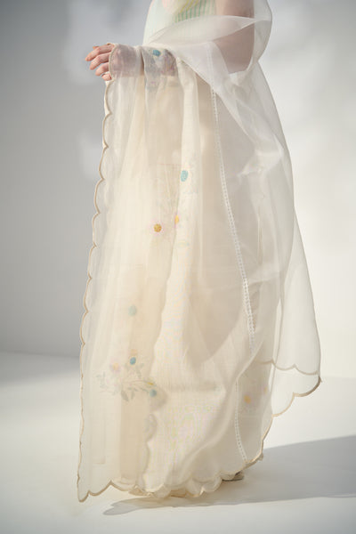 Anise Sari