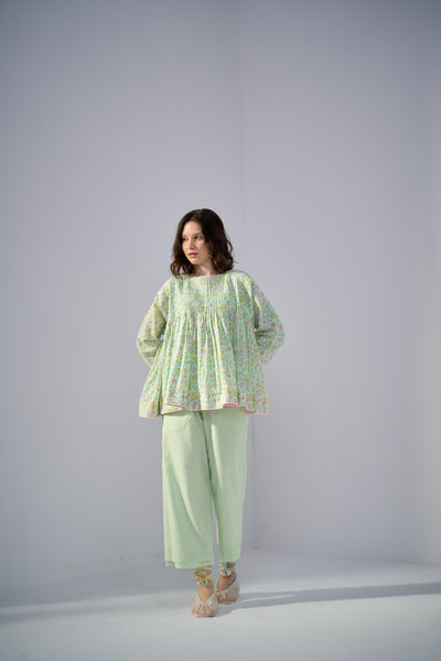 Parakeet Top