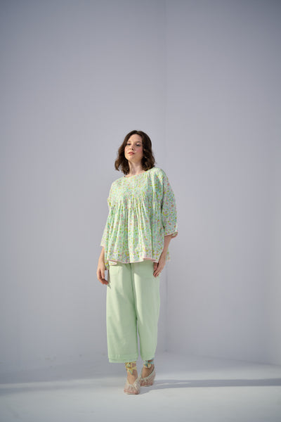 Parakeet Top