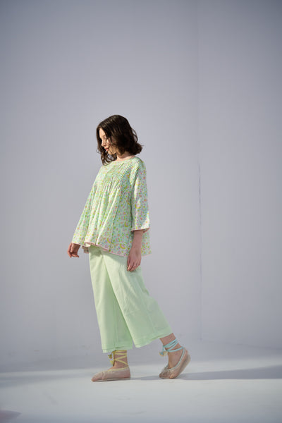 Parakeet Top