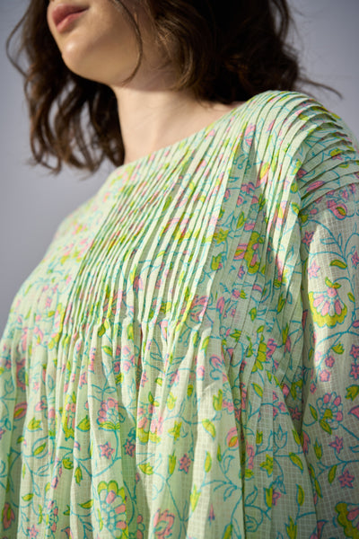 Parakeet Top