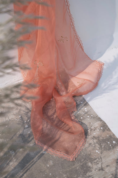 Coral zari butti dupatta