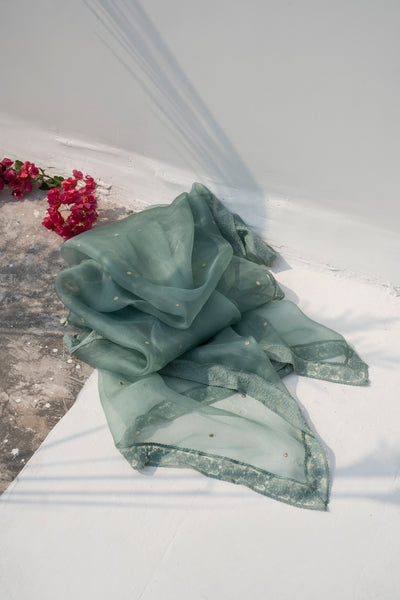 Sage zari polka dupatta