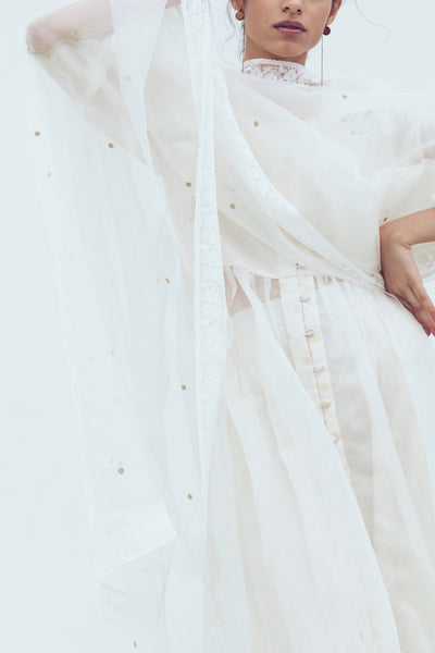 White zari polka dupatta